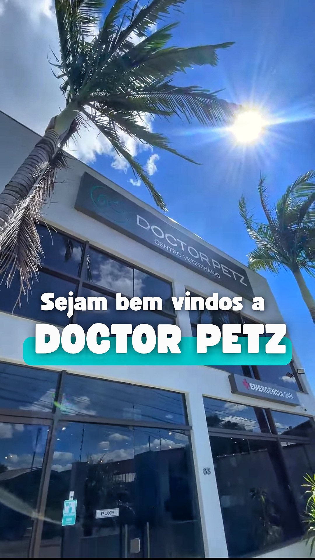 Publicação da fachada da matriz Doctor Petz com palmeira